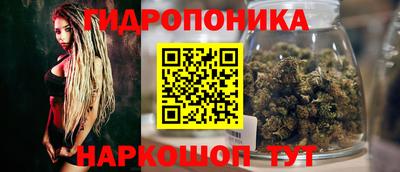 хмурый Гусев