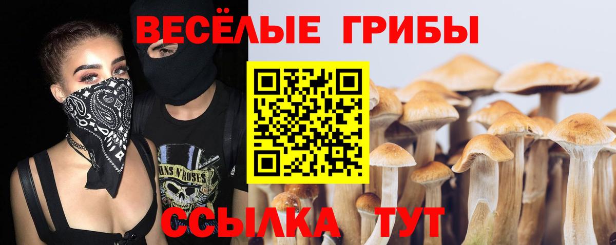 Псилоцибиновые грибы Psilocybine cubensis Муром